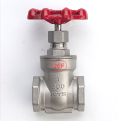 GATE VALVE SUS 10UEL