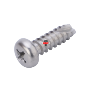 CPP 600
